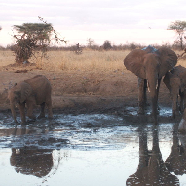 …this camp really allows you to get up close and personal with the wild.