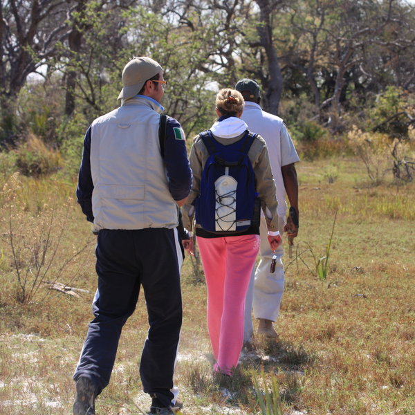 Walking safaris...