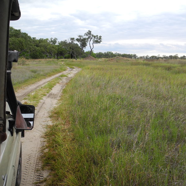 ...and 4WD safaris are very popular as well particularly during the green season.