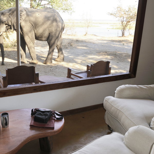 ...where you can enjoy fantastic views of passing wildlife.