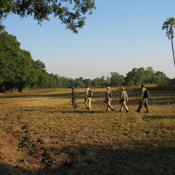 Welcome to the remote walking-only Island Bush Camp!