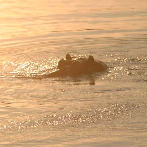 ... often along the river ...