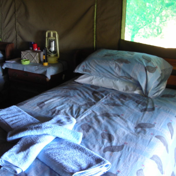 ...and very comfortable...