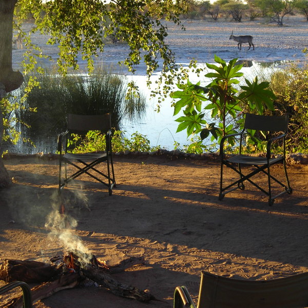 The camp fire provides the best place to watch a steady stream of animals come down to drink.