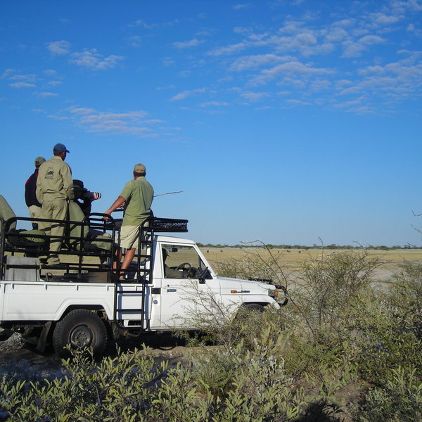 4WD safari drives take you through classic Kalahari landscape.