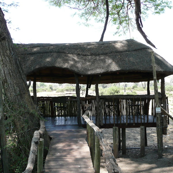 ...and there's also a hide where guests can sit and watch the animals come down to drink
