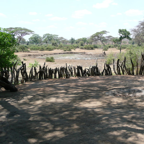 Next to the lodge is a waterhole...