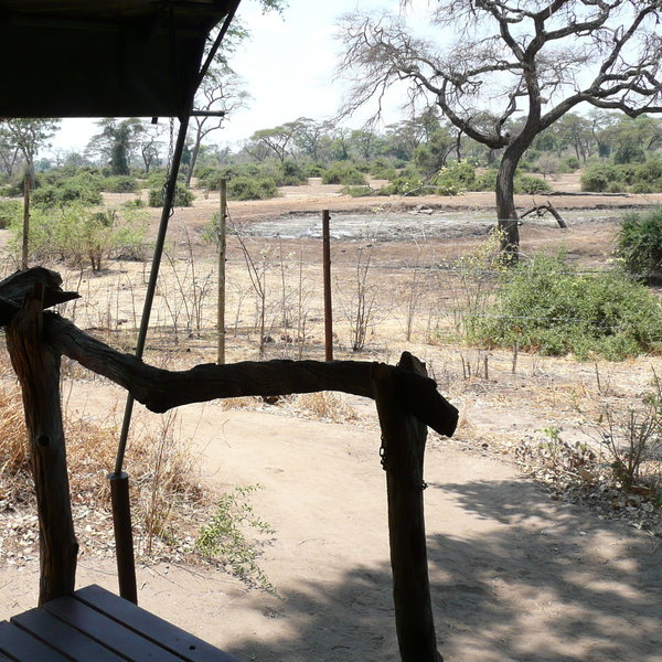 A few have a view over the waterhole.