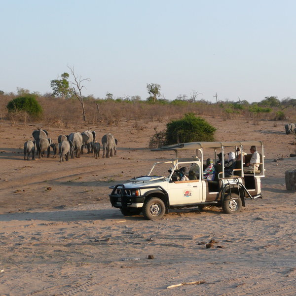 ...into the Chobe National Park...