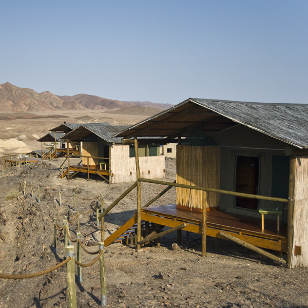 Leylandsdrift Camp