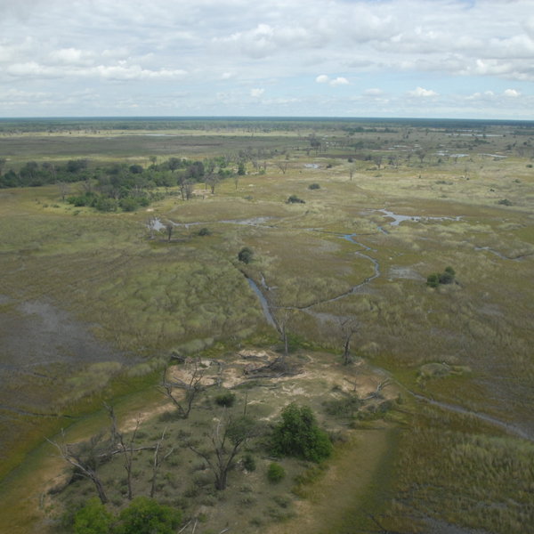 Khwai River Lodge