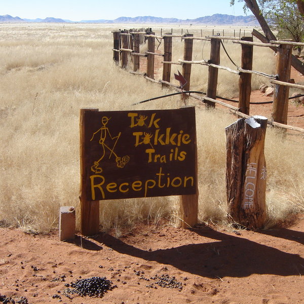 Tok Tokkie Trails