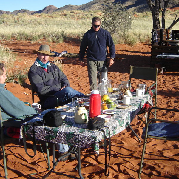 Tok Tokkie Trails