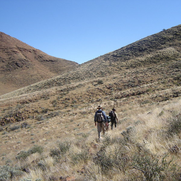 Tok Tokkie Trails