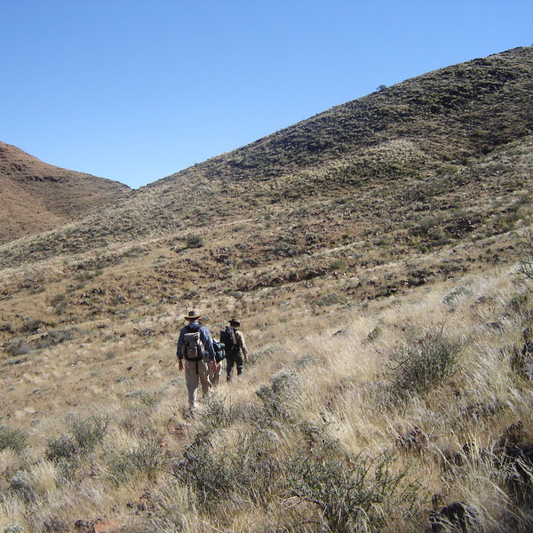 Tok Tokkie Trails