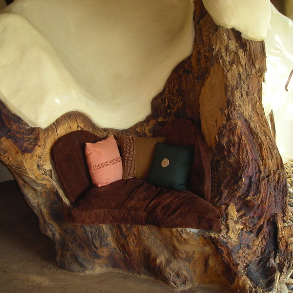Amazing pieces of wood have been built into the very fabric of the house!