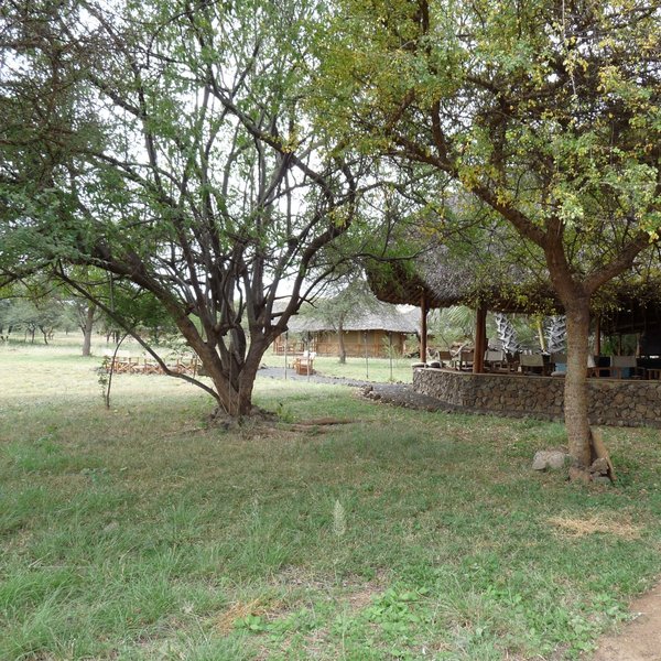 The unfenced camp is located on a flat plain, with plenty of tree cover…
