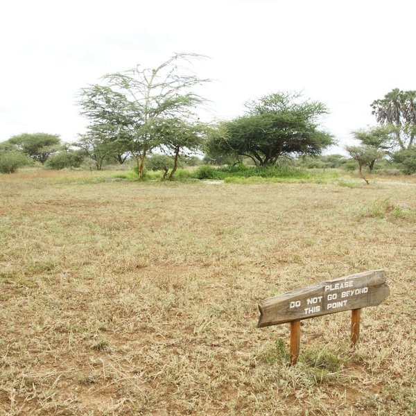 Wildlife is prolific here (lions made a kill close to reception just before our first visit)…
