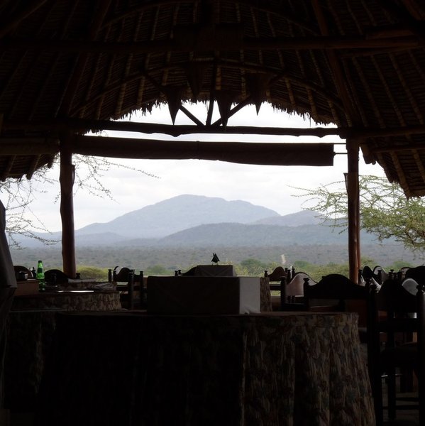 …and great views out through the bush onto a scene that often includes lots of wildlife.