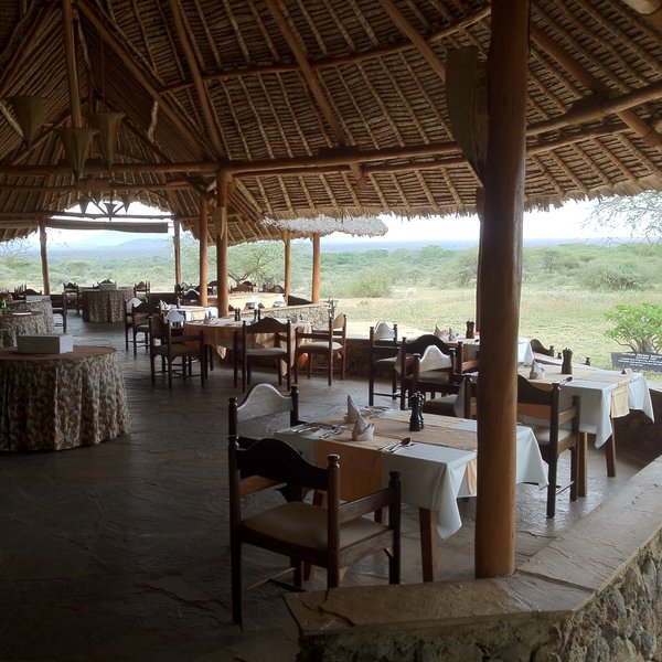 Severin is quite unusual in being so flat, so the sense of immersion in the bush is pronounced…