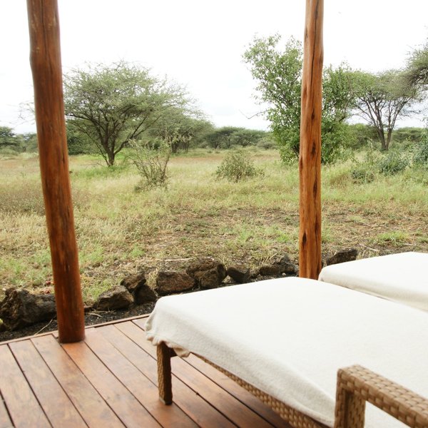 You're right on the edge of the bush when you want to be…