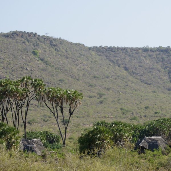 The lodge is located in a remote corner of the park where the river flows around the Yatta Plateaui.