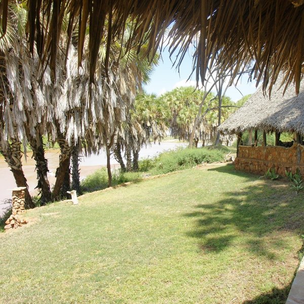 The lounge/dining area is right above the river, and hippos often come ashore at night to graze…