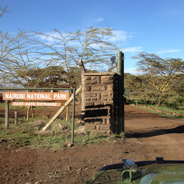 Most guests arrive from JKIA or Wilson Airport via the East Gate of Nairobi National Park…
