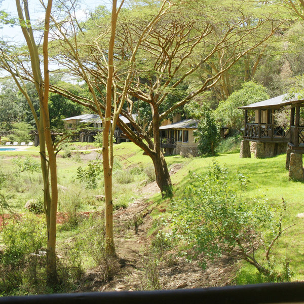 The Emakoko's public areas and five of its rooms are at the bottom of the cliff.