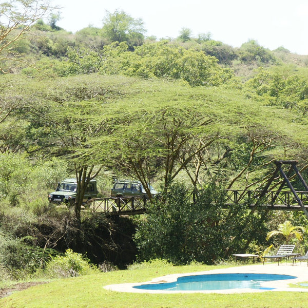 The swimming pool has a fine setting.