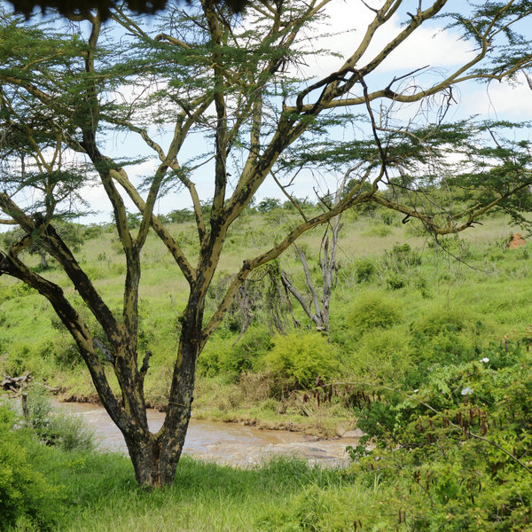 El Karama Lodge