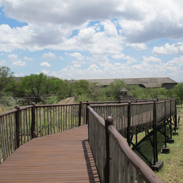 Wooden walkways connect the guest rooms with the hotel's main, central facilities.