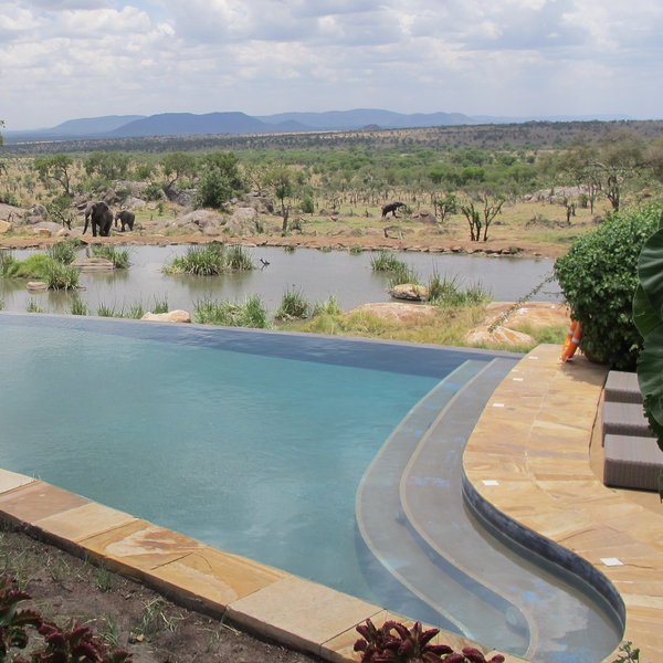 ...and watch out for spectacular views of wildlife coming to drink from the waterhole.