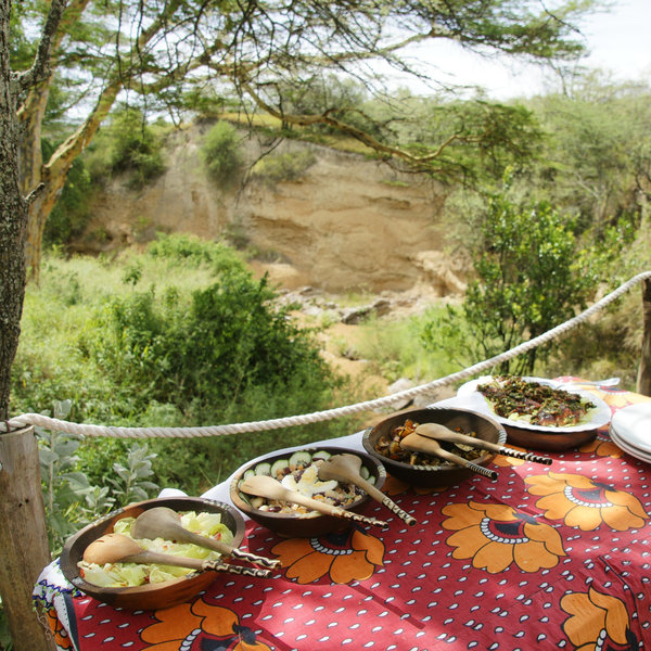 Leleshwa