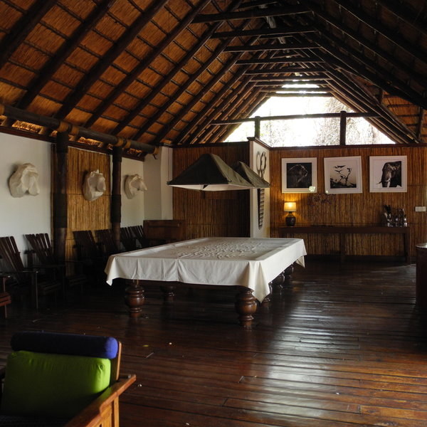 Lion Camp