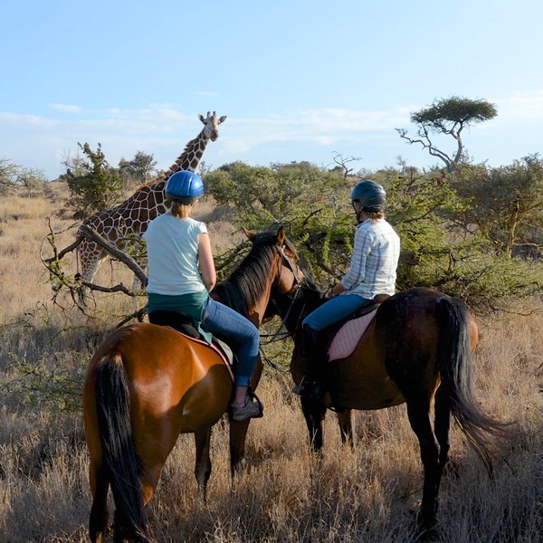 Lewa Wilderness