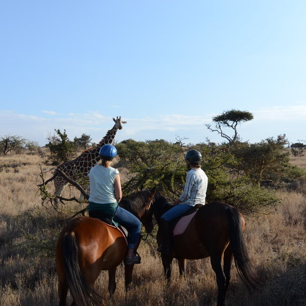 Lewa Safari Camp