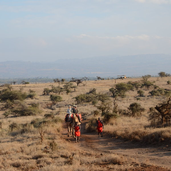Lewa Safari Camp