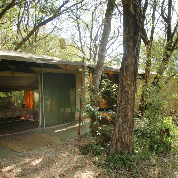 Nairobi Tented Camp's tents are a good size, but fairly close together.