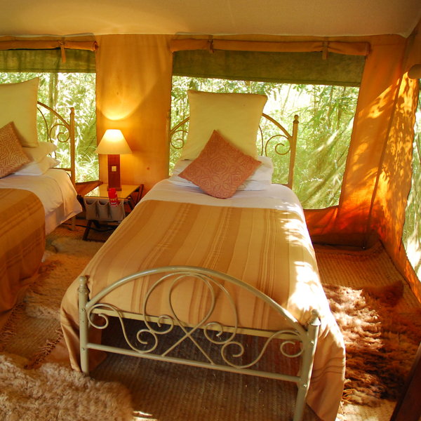 …and each with a hot-water bottle under the covers when you return after dinner.