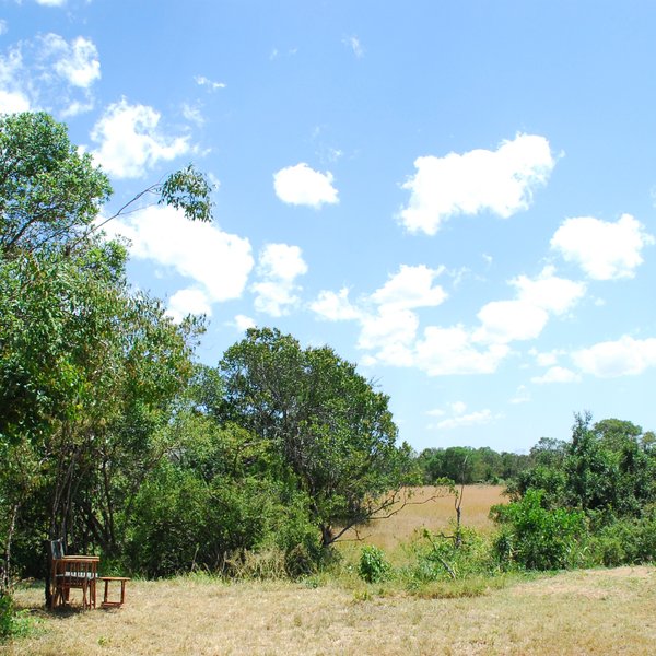 The lodge is set in quite a wild and bushy part of the Naboisho Conservancy…