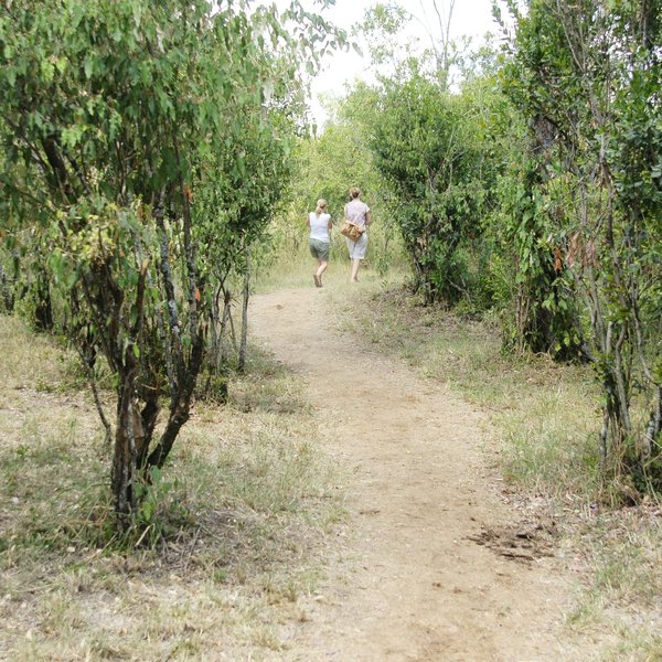…with footpaths of dried elephant dung around camp…