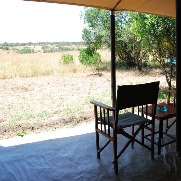 Wherever you are in camp, the bush is always the dominant theme.