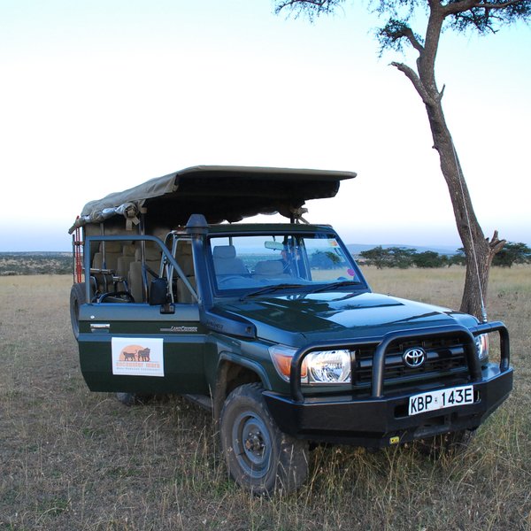 Encounter Mara uses well adapted Land Cruisers for their game drives…
