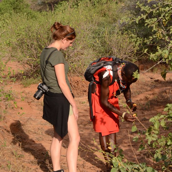 ...which teach you about cultural and medicinal uses of the plants.