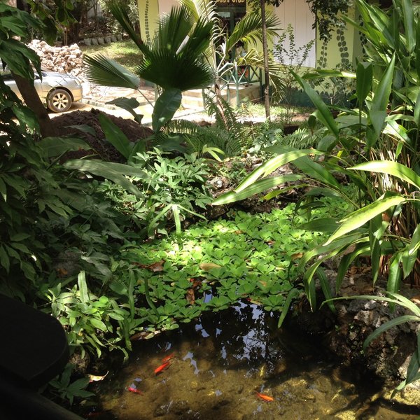 Asha Boutique Hotel