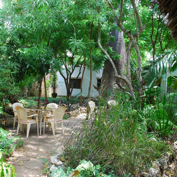 Asha Boutique Hotel