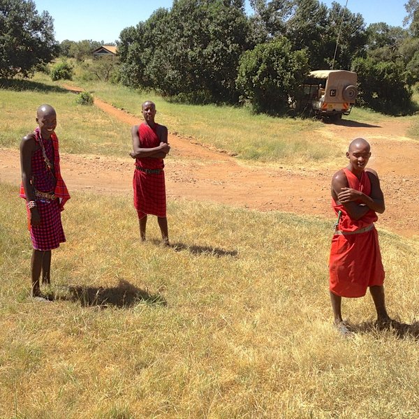 Porini Lion Camp