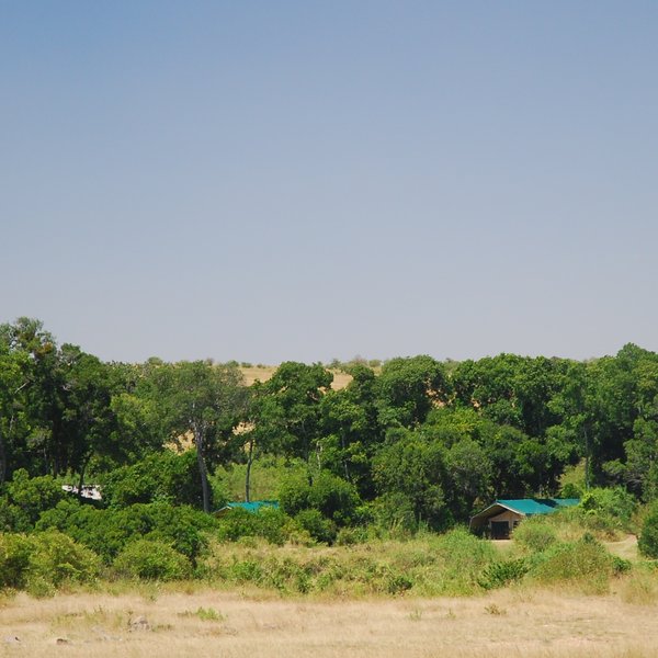 Porini Lion Camp