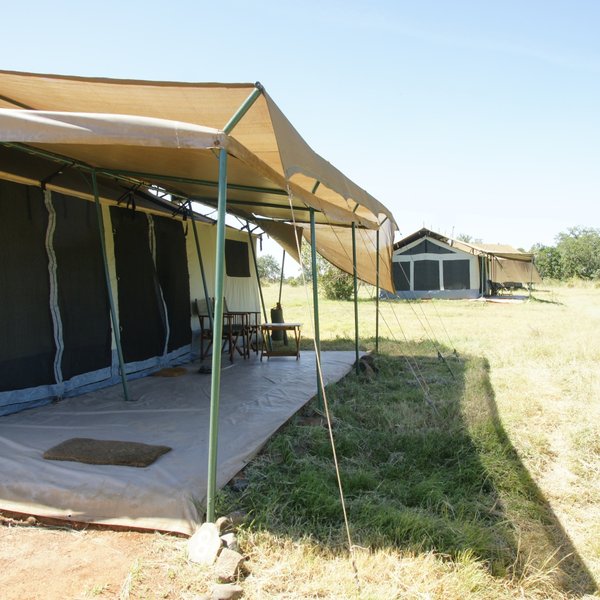 Porini Lion Camp